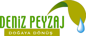 Deniz Peyzaj - Gülsoy Mimarlık Mühendislik - Ankara